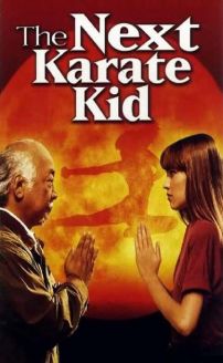The Next Karate Kid