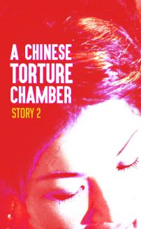 Chinese Torture Chamber Story 2 (Moon ching sap dai huk ying: Chik loh ling chi)