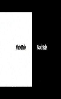 WhiteMale BlackMale