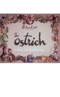 The Ostrich
