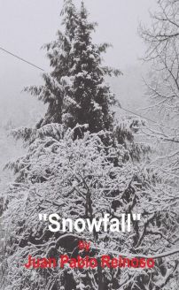 Snowfall