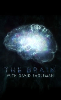 The Brain with Dr. David Eagleman