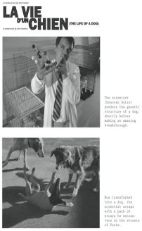 La vie dun chien