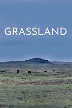 Grassland