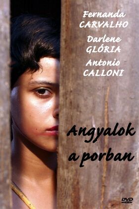 Angels of the Sun ( Anjos do Sol)