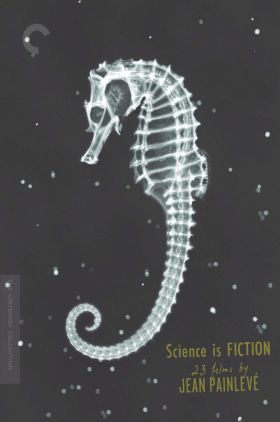 The Seahorse