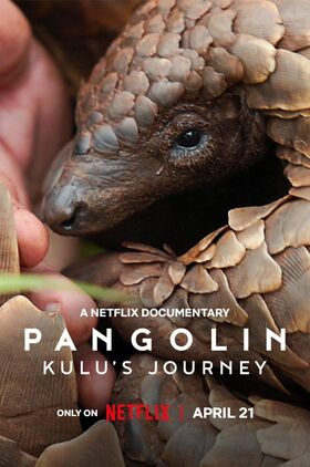 Pangolin: Kulus Journey