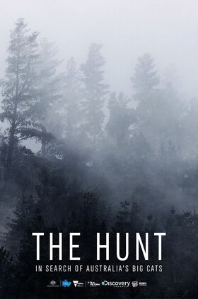 The Hunt: In Search of Australias Big Cats