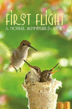 First Flight: A Mother Hummingbirds Story