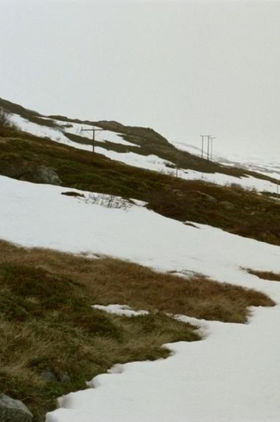 A Year Along the Abandoned Road