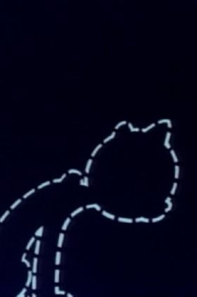 The House-Cat (Felis Vulgaris)