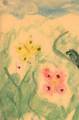 Motýli tady nezijí