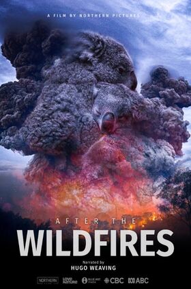 After the Wildfires