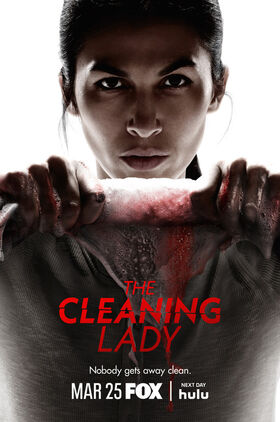 The Cleaning Lady