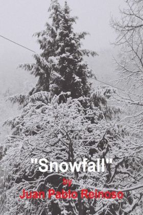 Snowfall