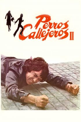 Perros callejeros II