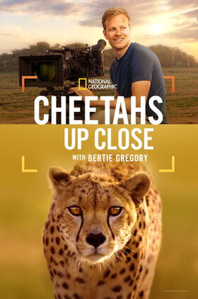 Cheetahs Up Close with Bertie Gregory