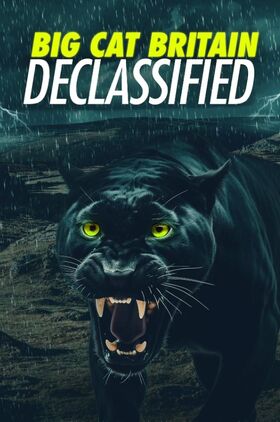 Panthera Britannia Declassified/Big Cat Britain Declassified