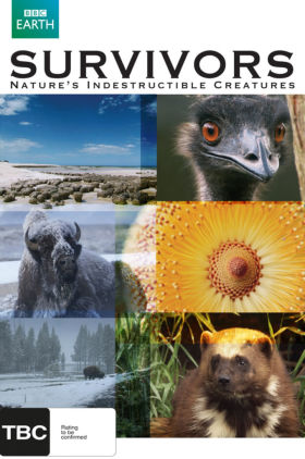 Survivors Natures Indestructible Creatures