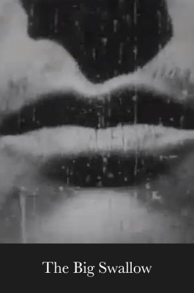 A Photographic Contortion