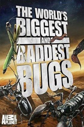 Worlds Biggest and Baddest Bugs