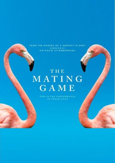 The Mating Game