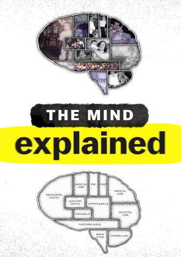 The Mind, Explained