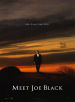 Meet Joe Black