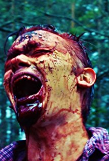 برنده 1 جایزه.