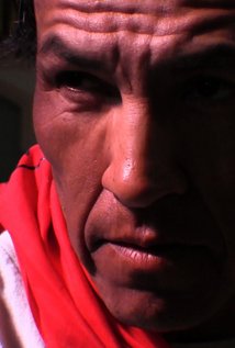 برنده 2 جایزه و نامزد دریافت 1 جایزه دیگر.