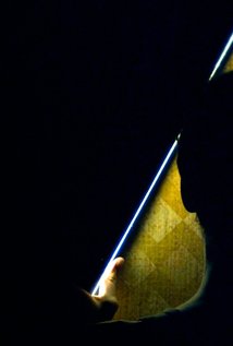 برنده 5 جایزه و نامزد دریافت 1 جایزه دیگر.